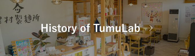 History of TumuLab
